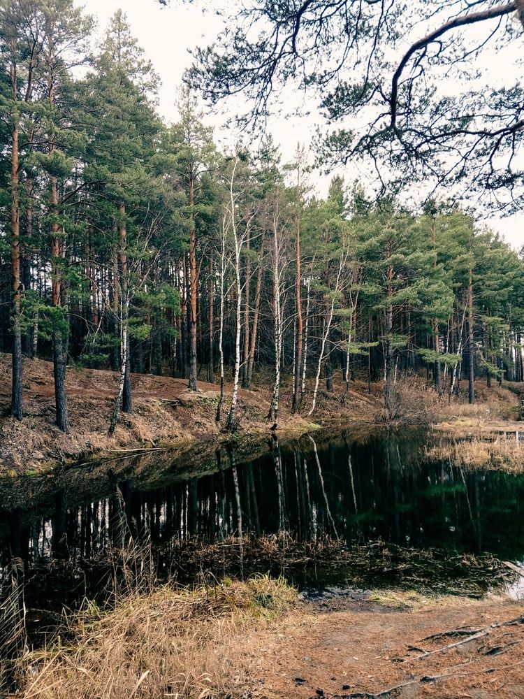 Photograph by Ксения Трофимова