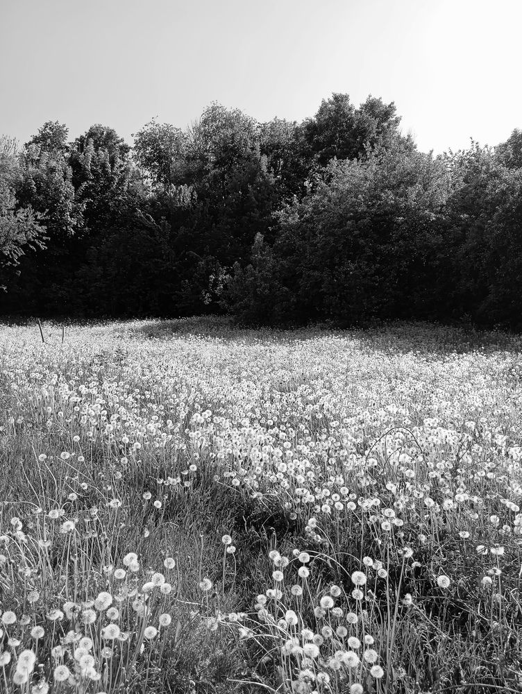 Photograph by Елена Коробченко