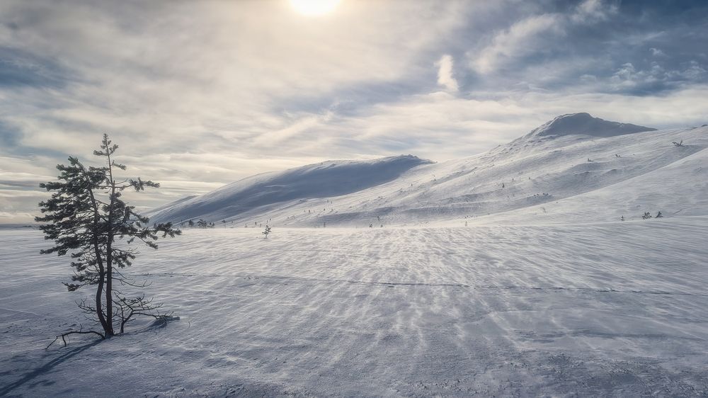 Ветер южный, умеренный...