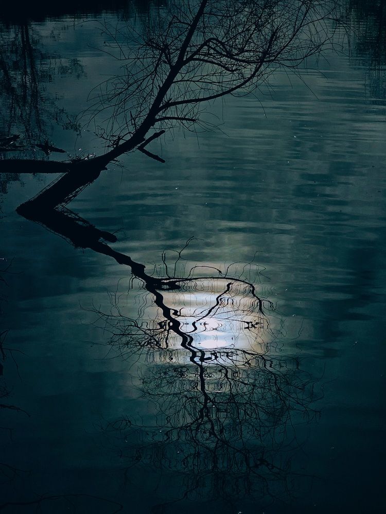 Photograph by Maria Yakovleva