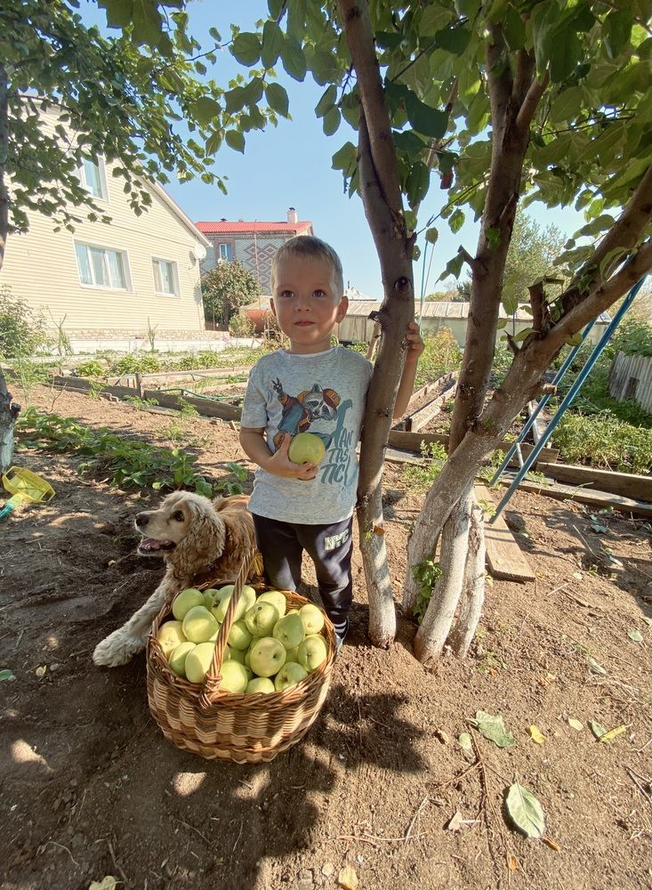 Photograph by Елена Толстоброва