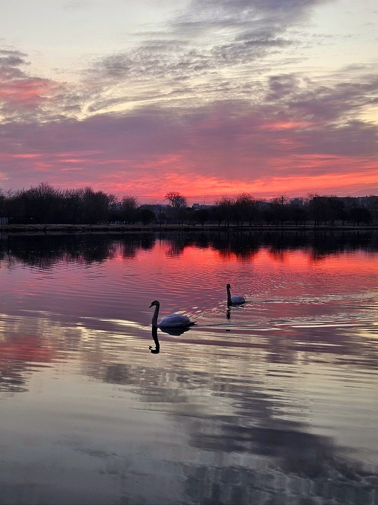 Фотография автора Elena Polonetskaya