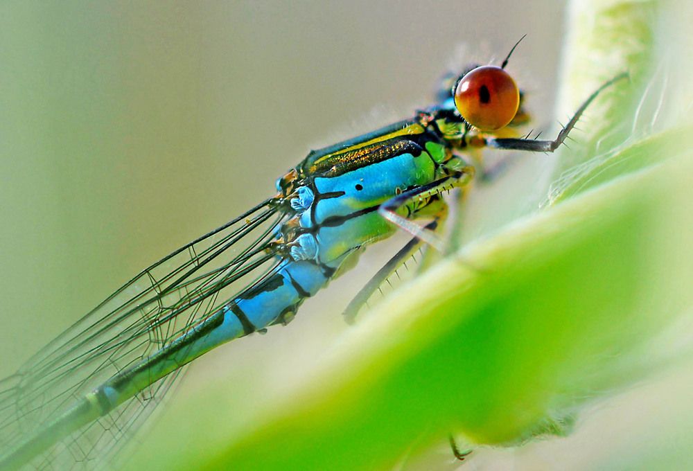 Photograph by Marjo Steffen