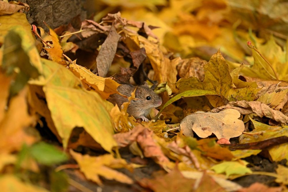 Photograph by Алексей Гордеев