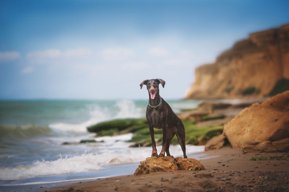 Photograph by Мария Клещенко