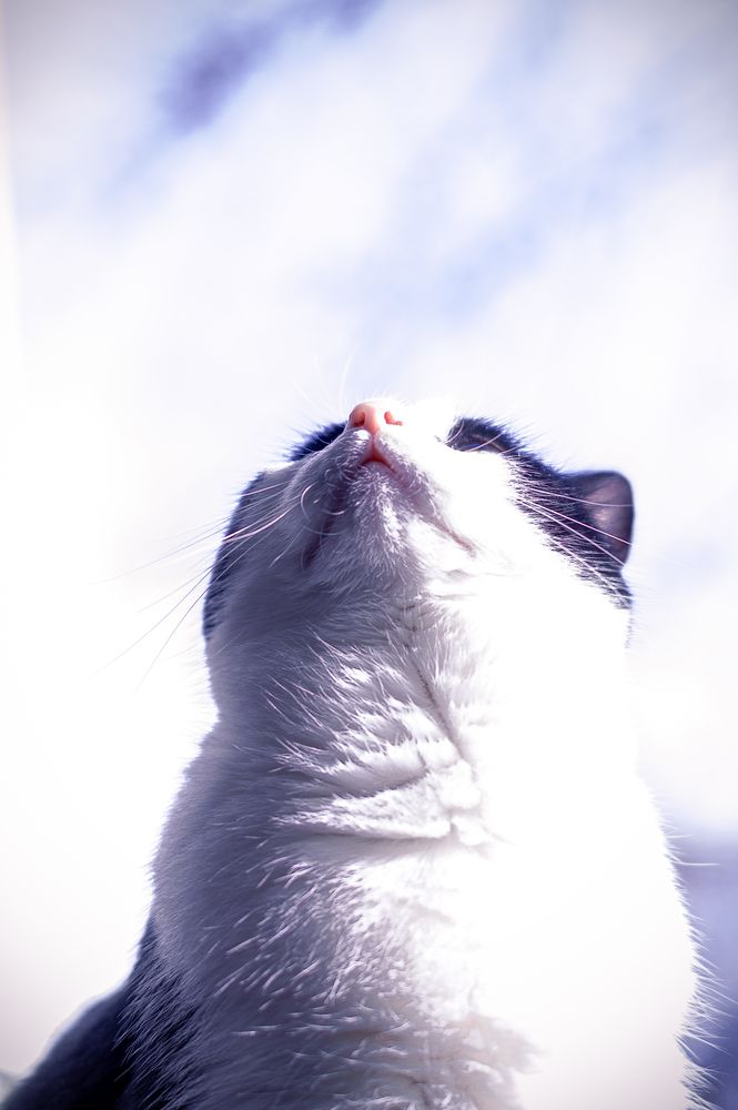 Photograph by Данил Стукалин