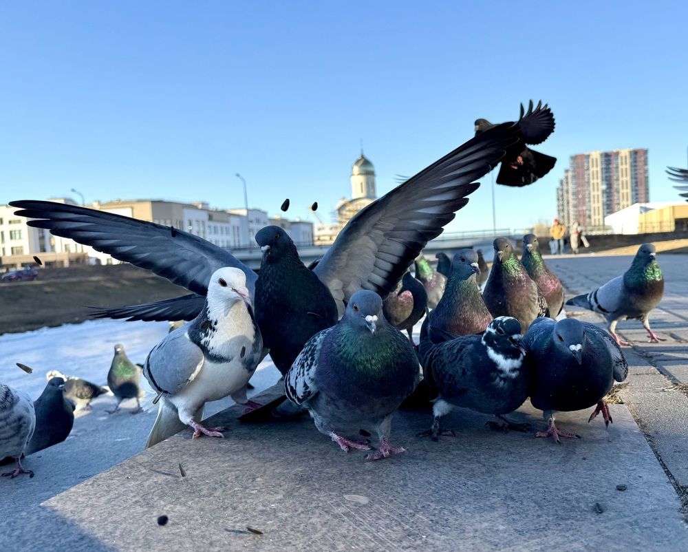 Photograph by Ксения Любченко