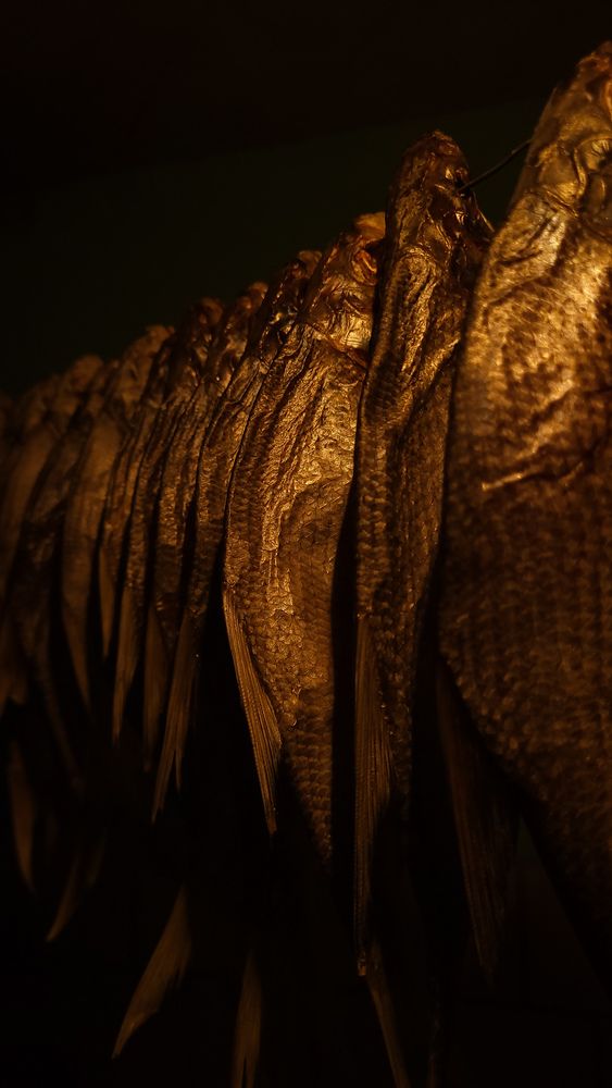 Photo #12093796