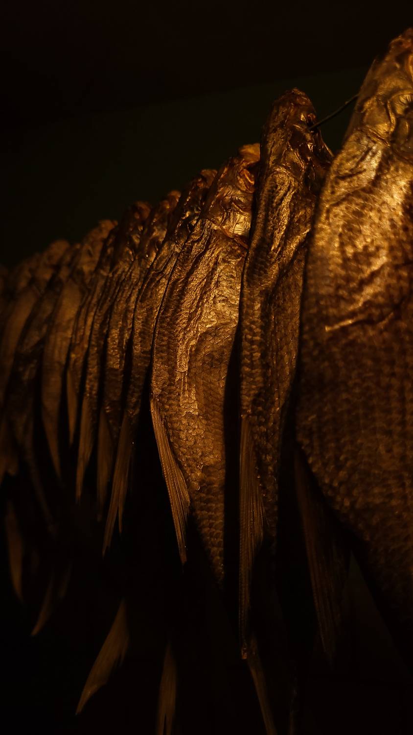 Photo #12093796