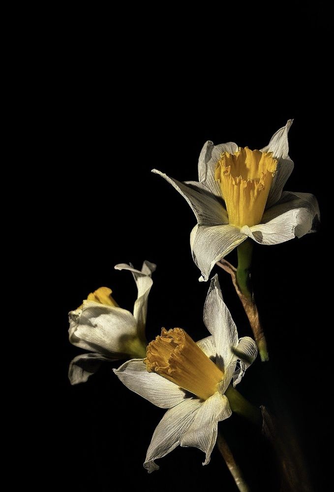 Photograph by Елена Громова