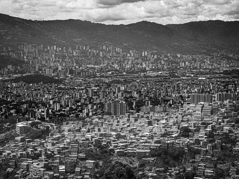 Фотография автора Camilo Rojas