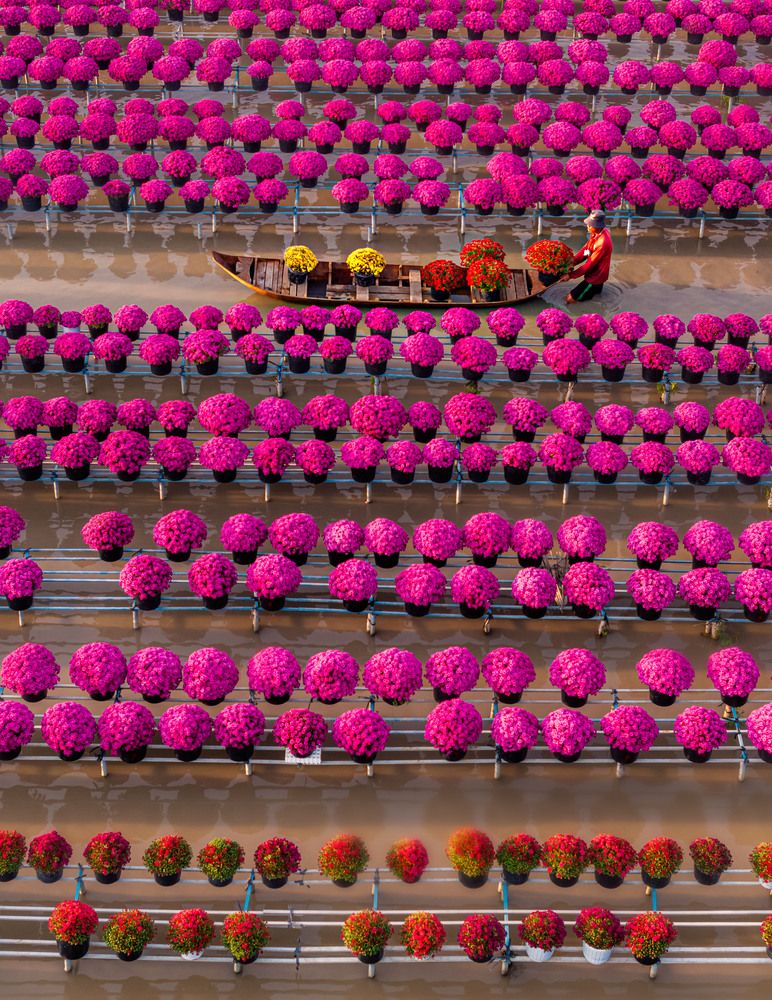 Photograph by Tuan leanh