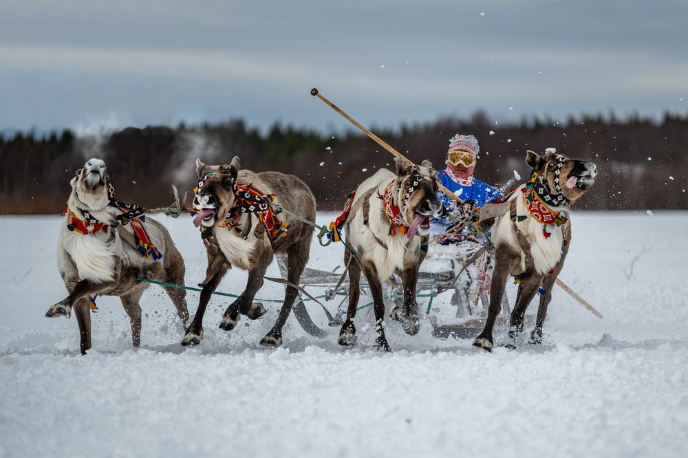 Photograph by ARTEM KORZHUKOV