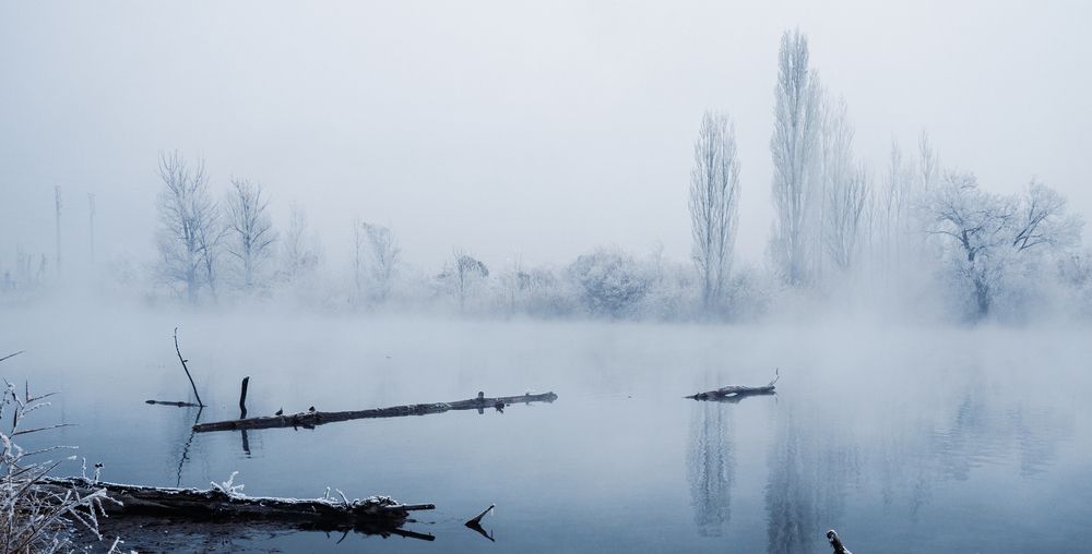 Фотография автора Владимир Широкий