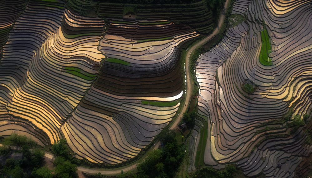 Photograph by hung van