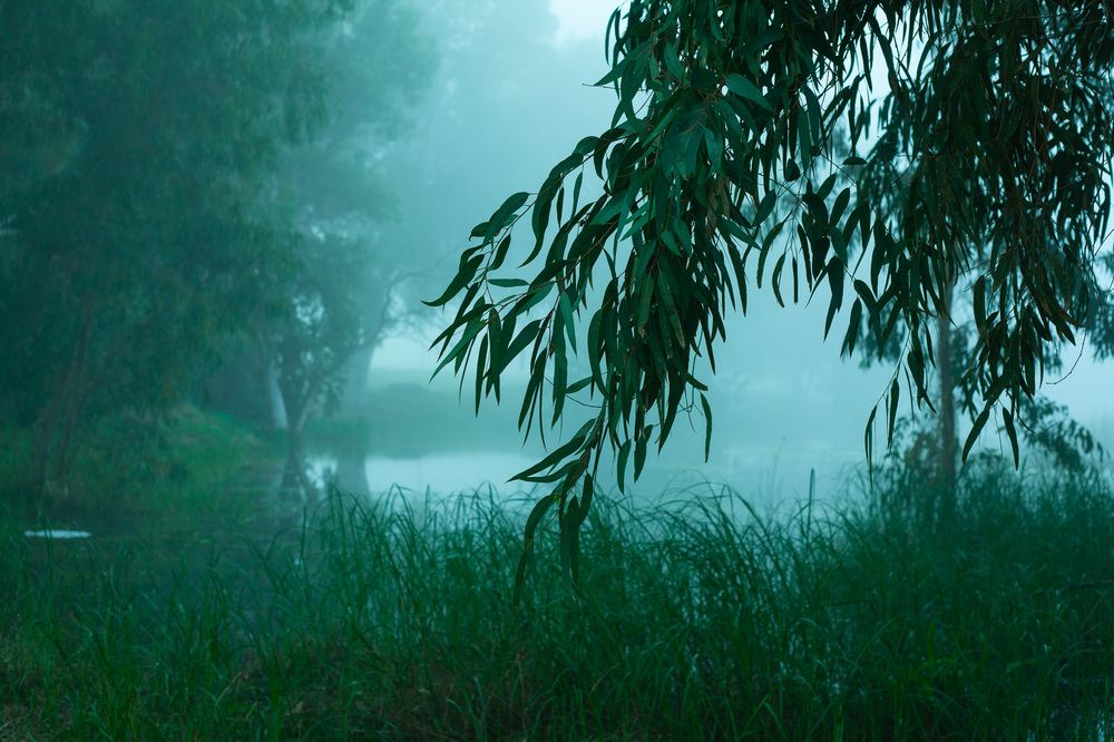 Photograph by Lada Tregubov