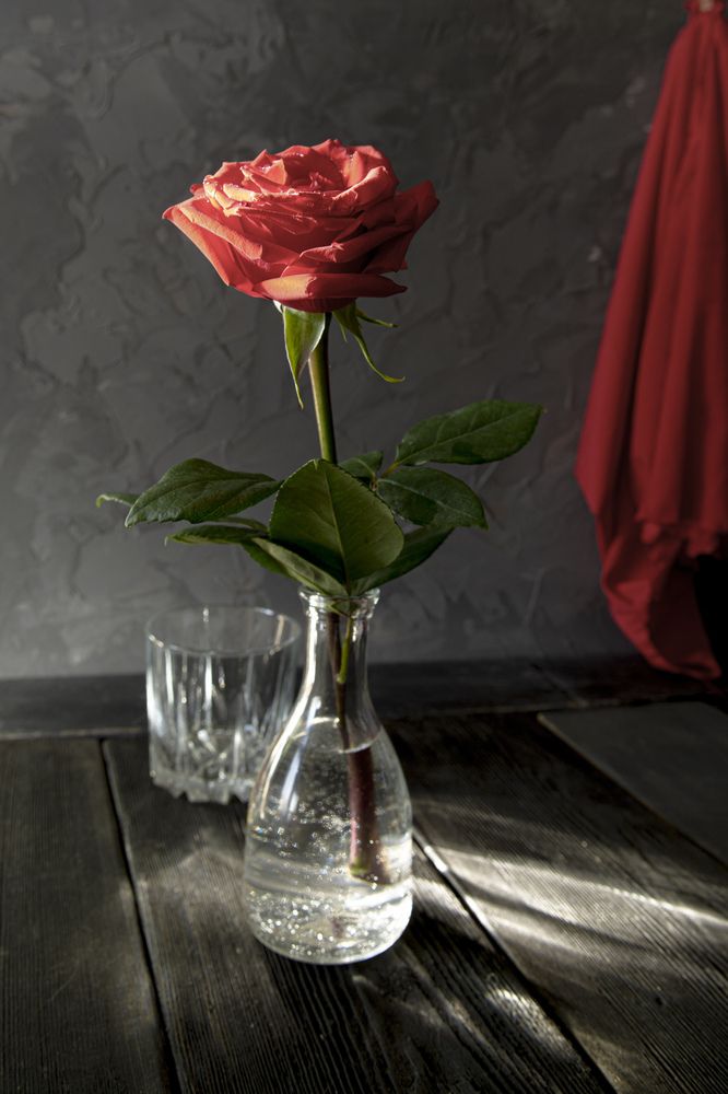 Photograph by Игорь Смирнов