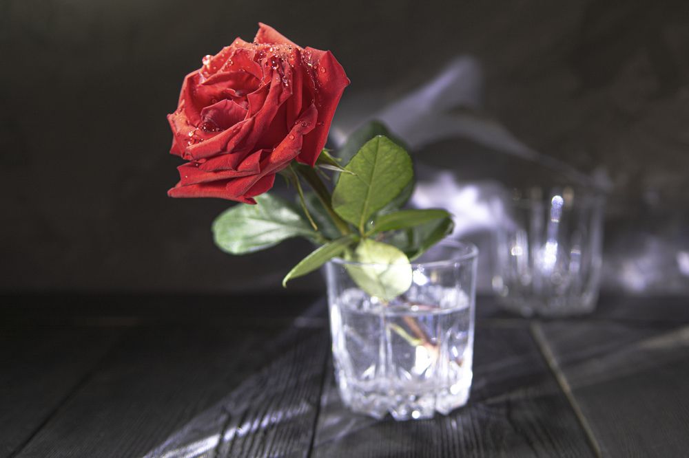 Photograph by Игорь Смирнов