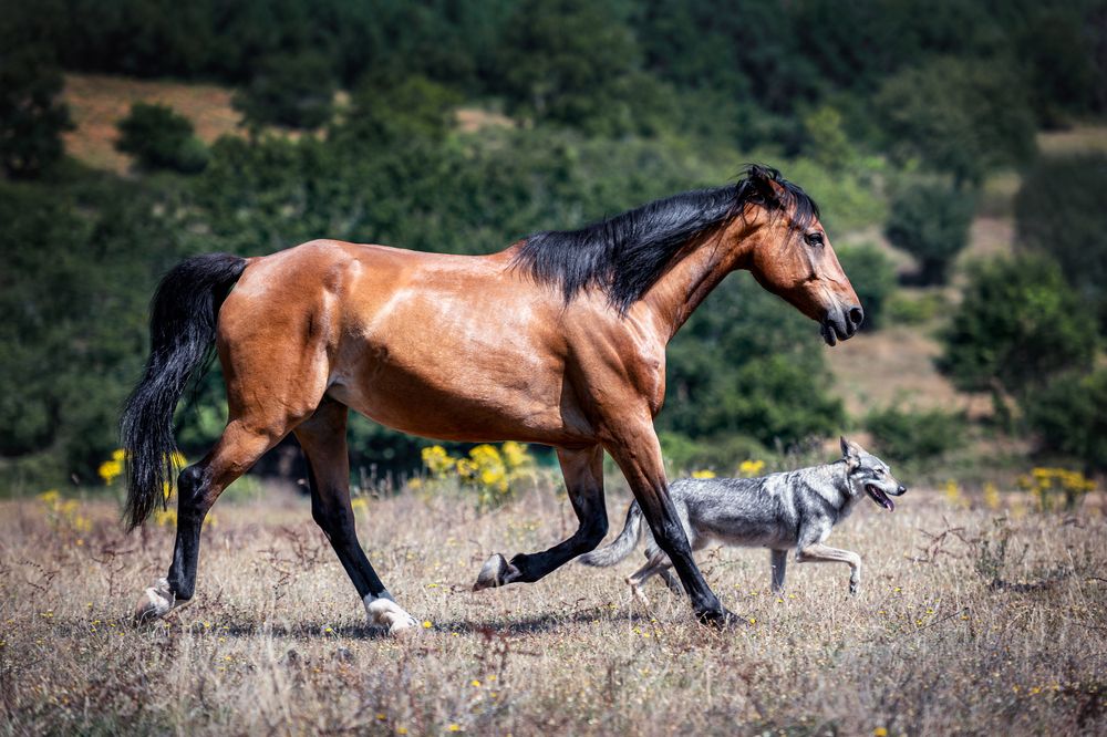 Photograph by Tamara Lebón Sánchez