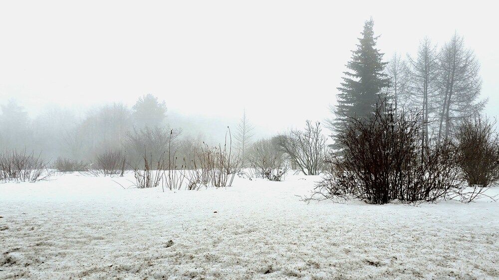 Photograph by Анна Семенова