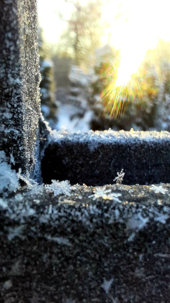 Photograph by Евгения Соловьева