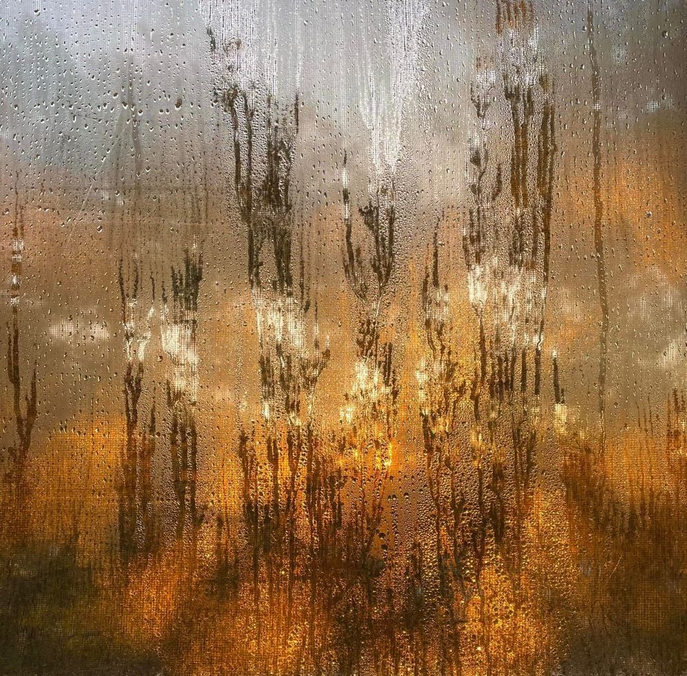 Фотография автора Olga Andriuc