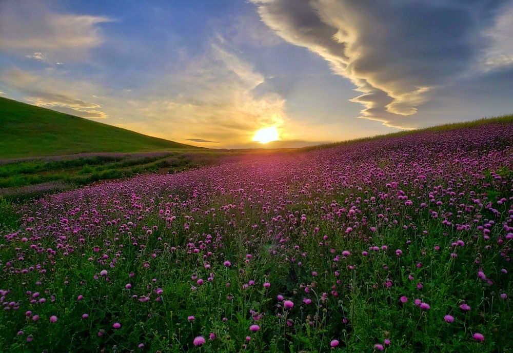 Photograph by amir shadpoor