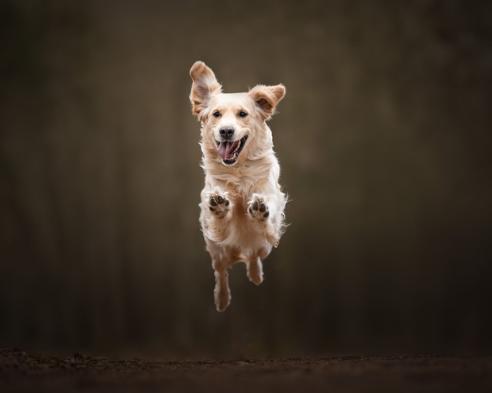 Photograph by Omica Meinen