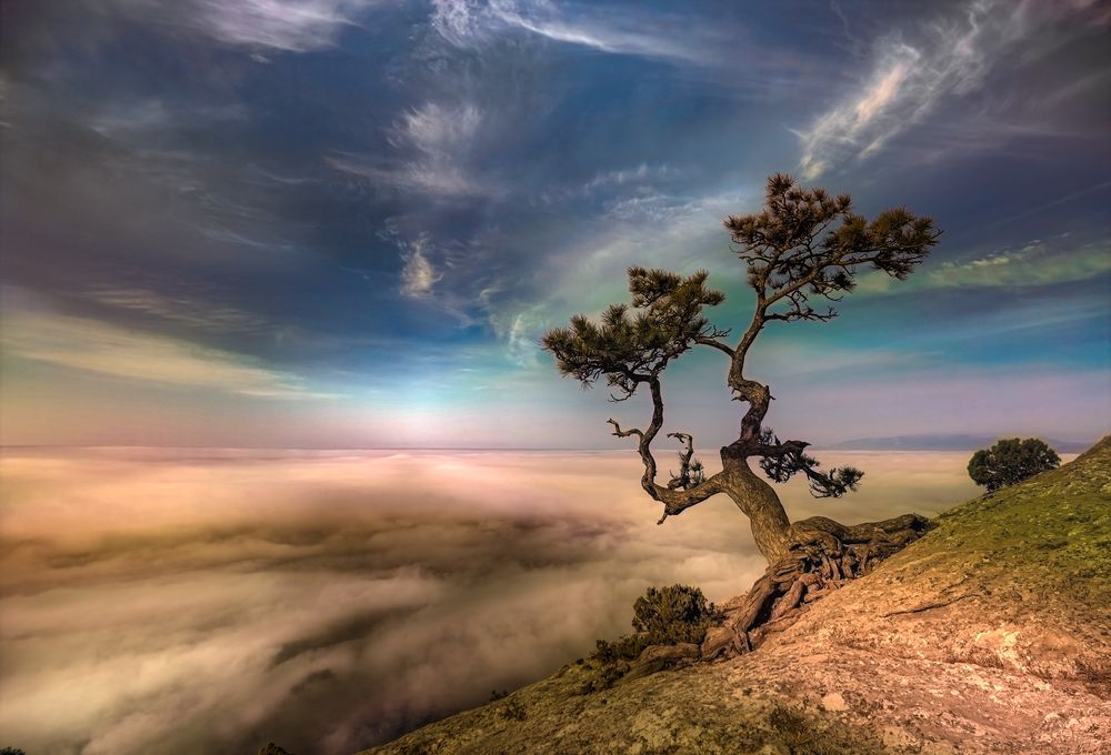 Photograph by Александр Разумов