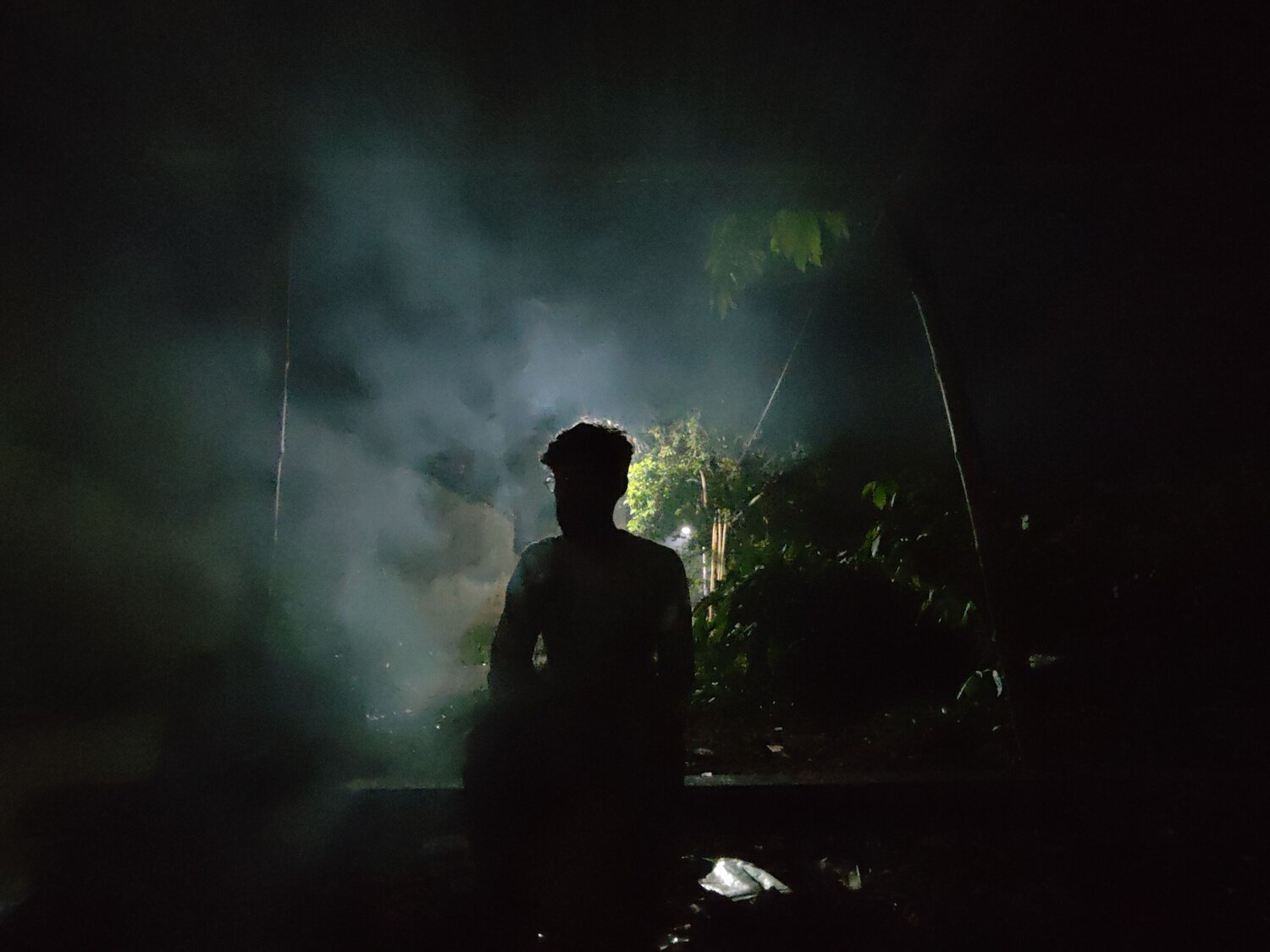 Photo #12095948