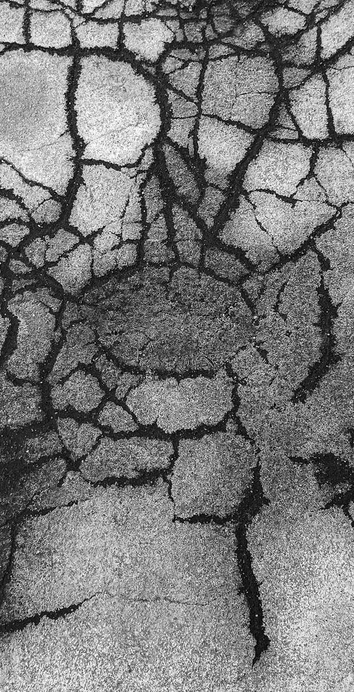 Фотография автора Дмитрий Гусалов