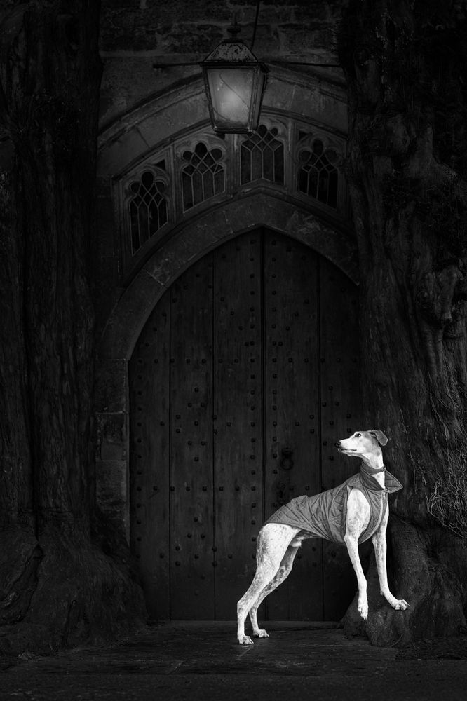 Photograph by Susan Lang