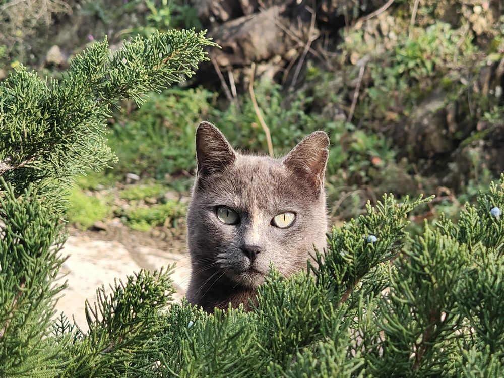 Photograph by olyaolkatravel