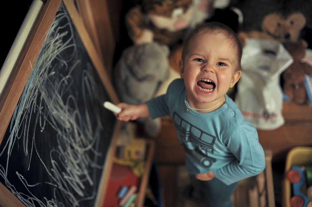 Фотография автора Mikka Hallakas