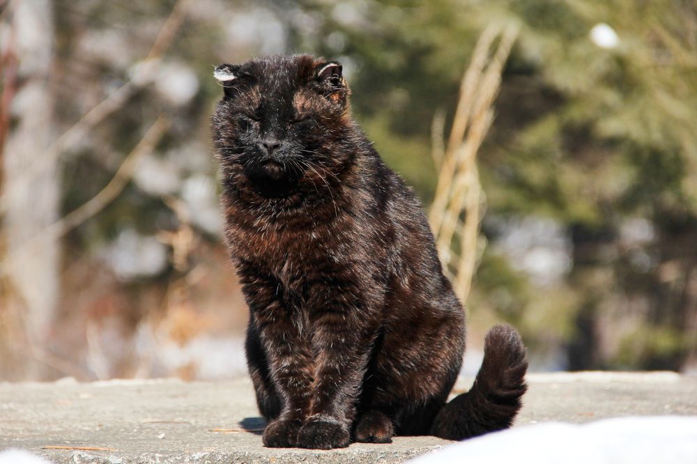 Фотография автора Наталия Мащенко