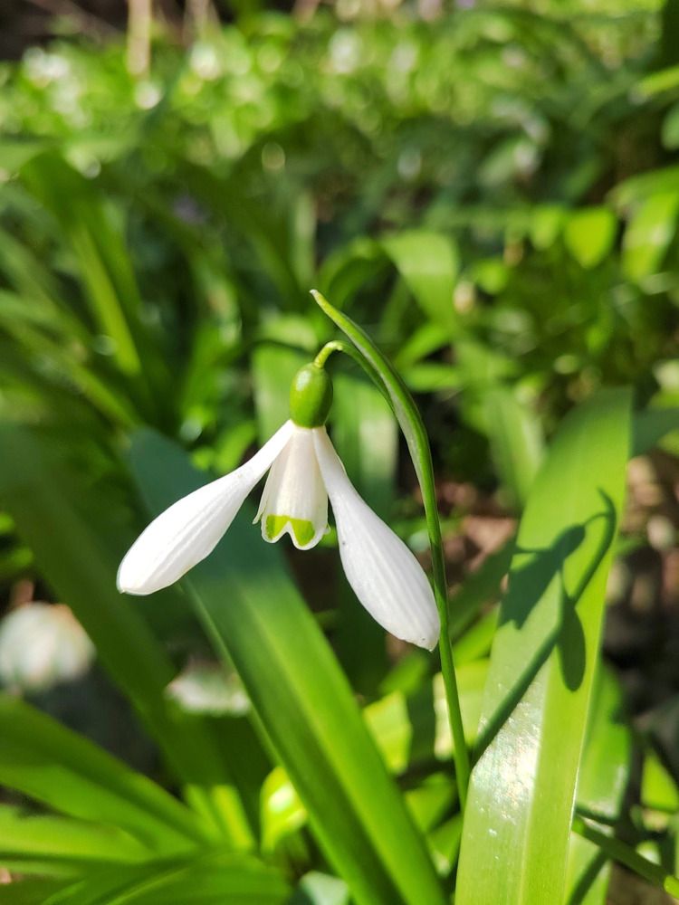 Photograph by Куделенко Оксана