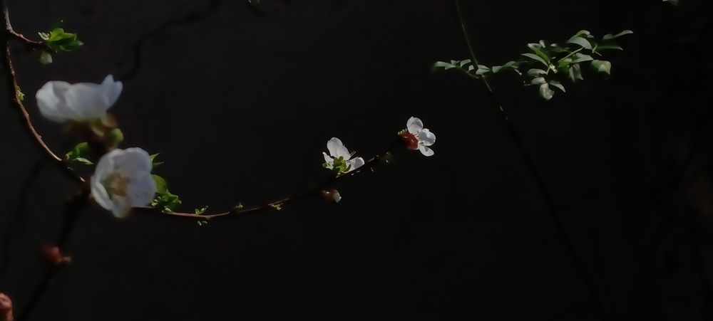 Photograph by Younas Muhammad