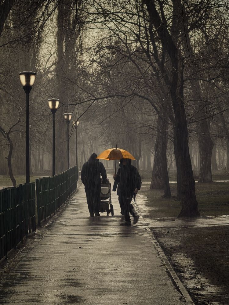 Photograph by сергей таранов