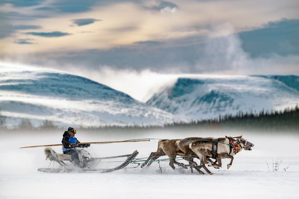 Photograph by ARTEM KORZHUKOV