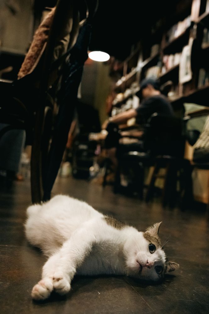Photograph by LIN Xinyan