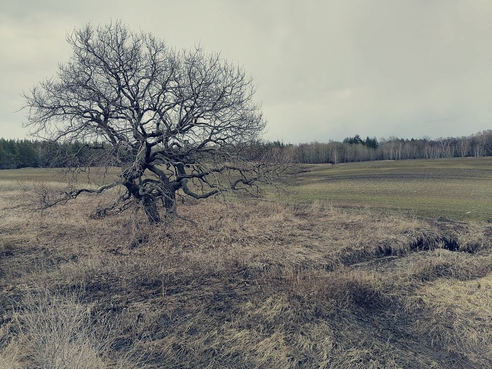 Photograph by Алексей Титков