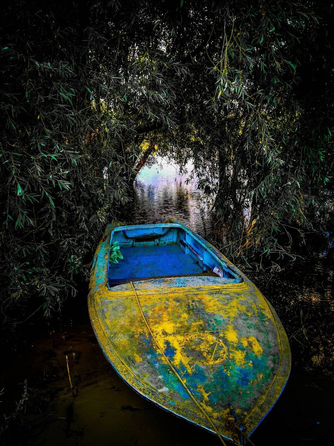 Фотография #12097658