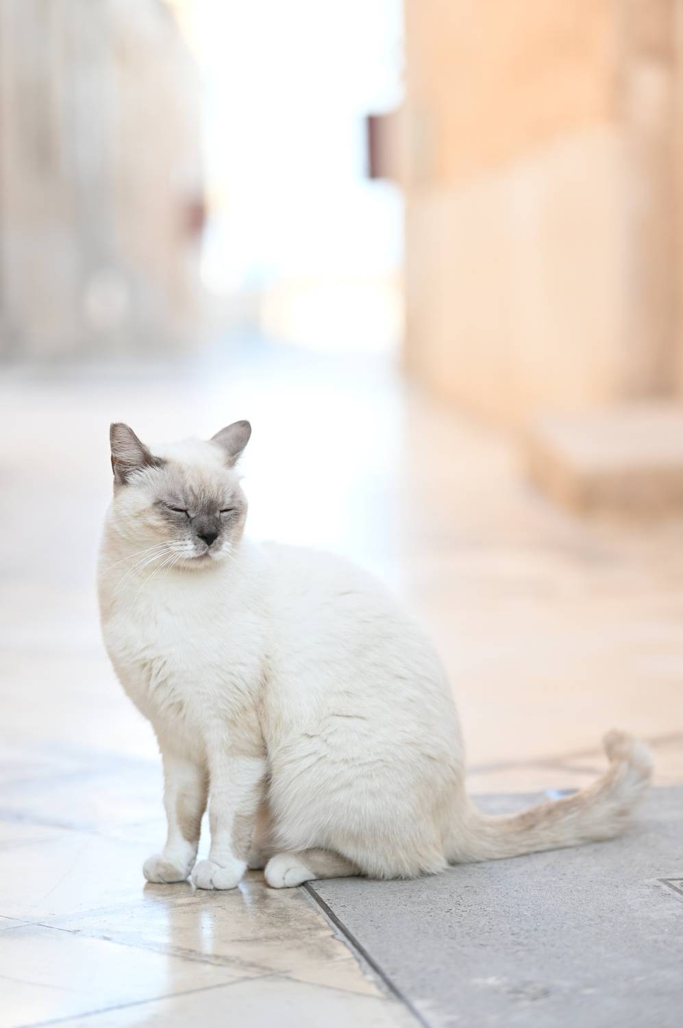 Фотография #12097673