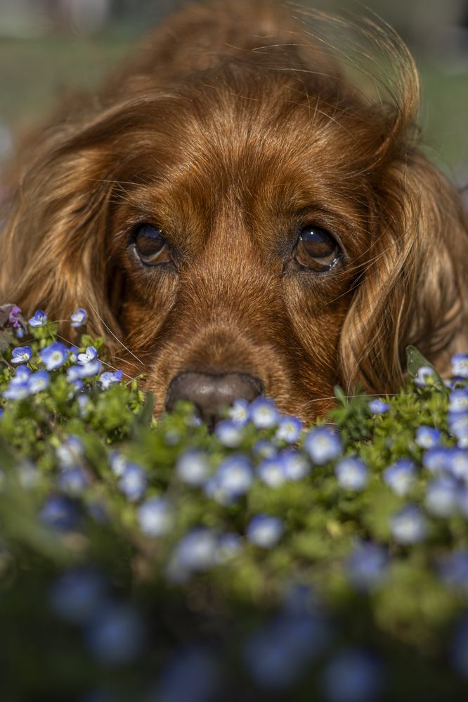 Photograph by Victoria Mogulyan