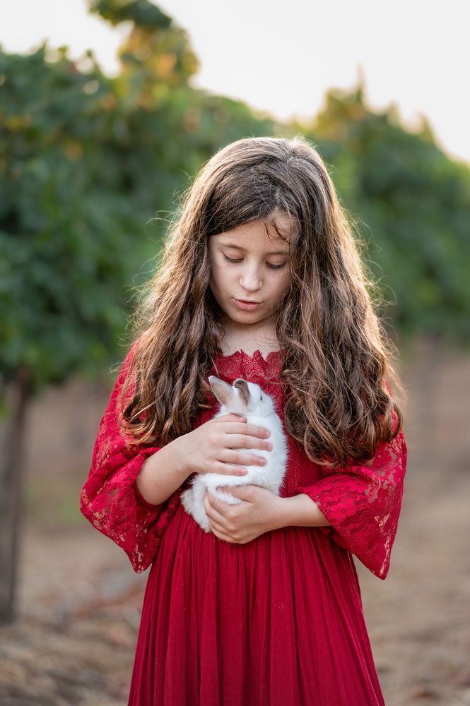 Photograph by esti lahat