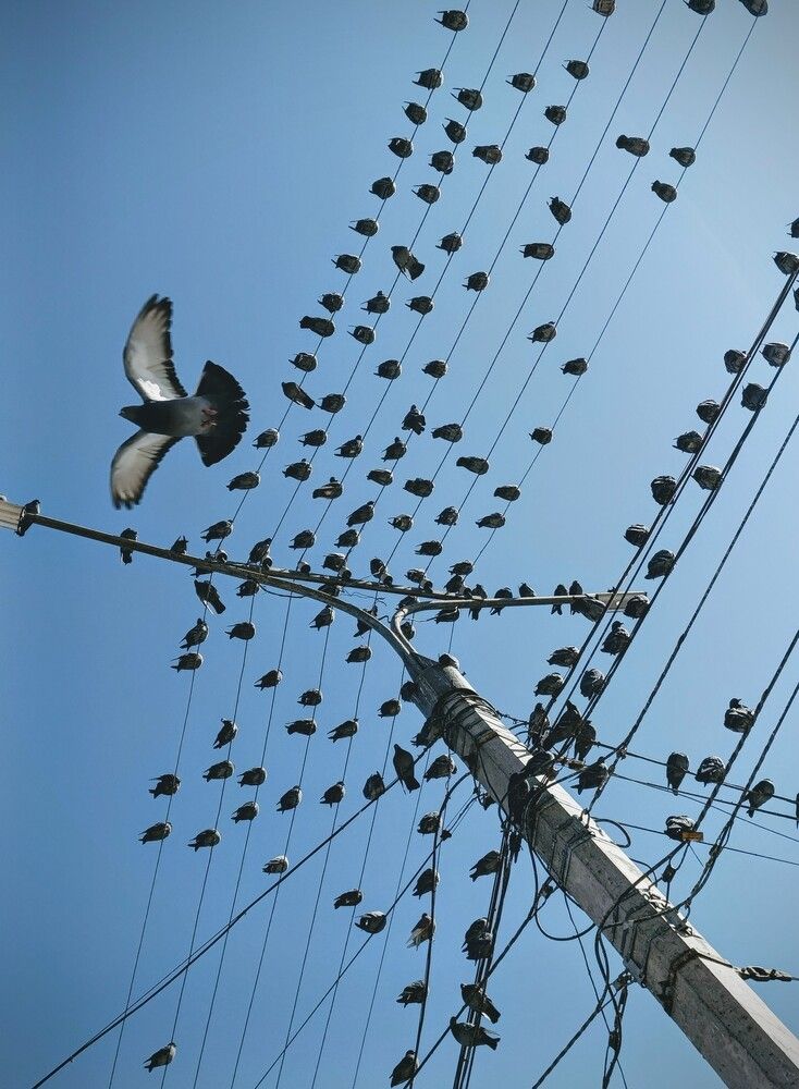 Photograph by Инесса Васильева