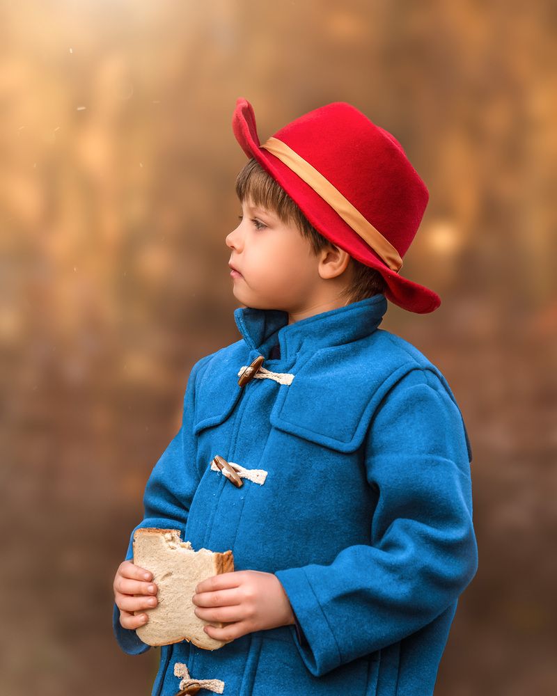 Paddington Bear