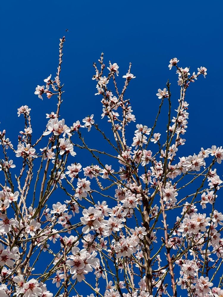 Photograph by Райхерт Вероника