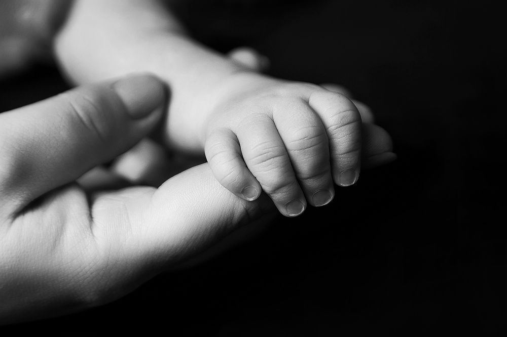 Фотография автора Ману Фалько