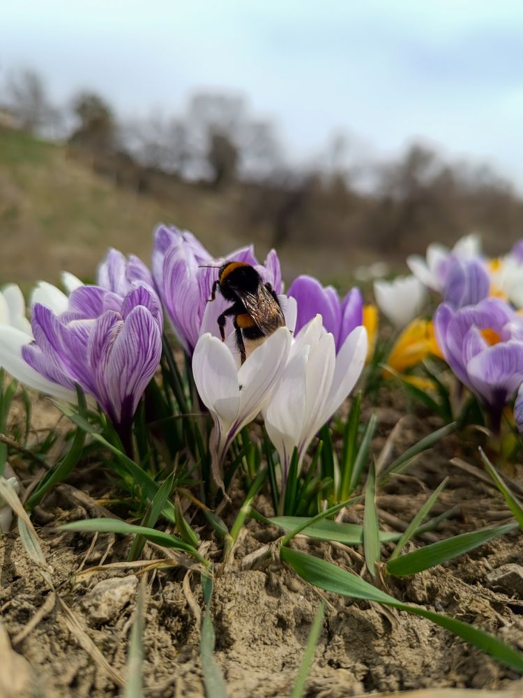 Фотография автора Владимир Ли